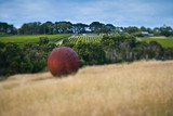 Montalto - Behind the Scenes Winery Tour