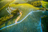 Le Tour De Rosé