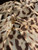 Roberto Cavalli Leopard Print Silk Open Back Blouse animal print