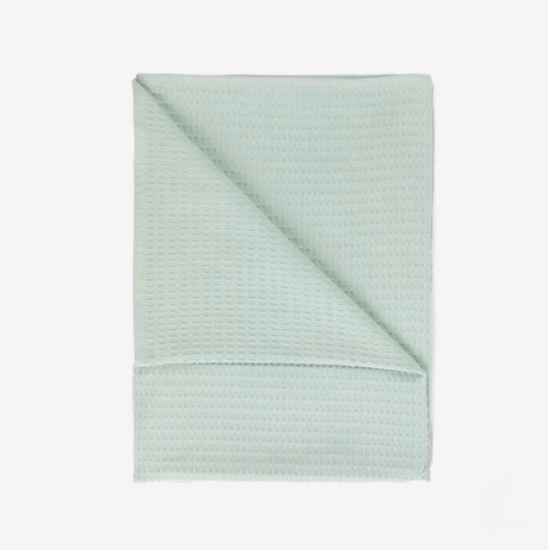 TOWEL ROVER MINT