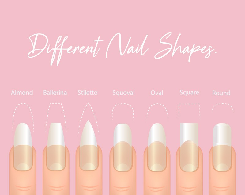 Manicure Most Popular Fashion Nail Shapes Flat Style Vector Illustration  Set Isolated Light Blue Background. Natural, Squoval, Oval, Square Rounded,  Square, Almond, Stiletto Different Shapes Guidance. Royalty Free SVG,  Cliparts, Vectors, and