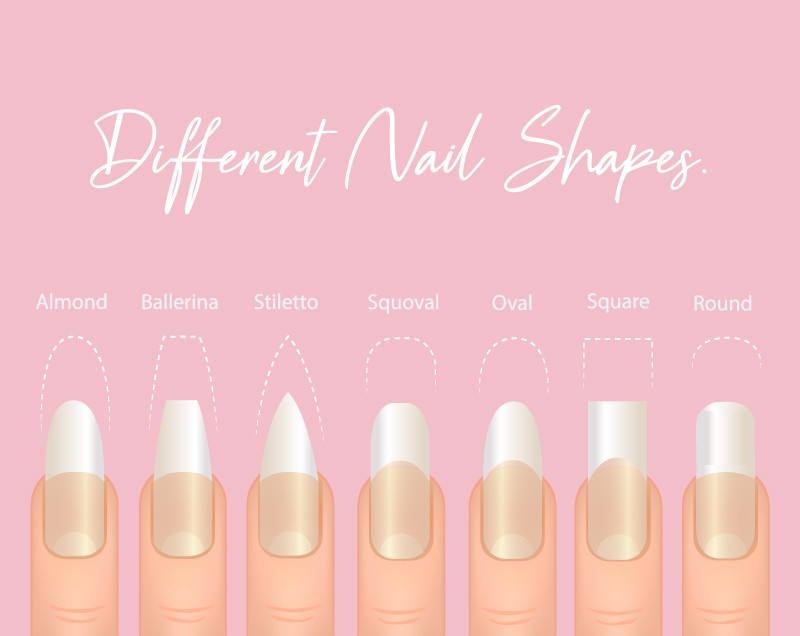 Nail Shapes Guide - Best Salon Trends, Different Names , & Chart