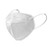 White Disposable Face Masks, 5ply earloop, adult size, white color, disposable face mask.
