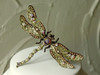 Large Enamel Glass Opal Dragonfly Brooch
