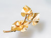 Winard Gold Filled Pin Leaves