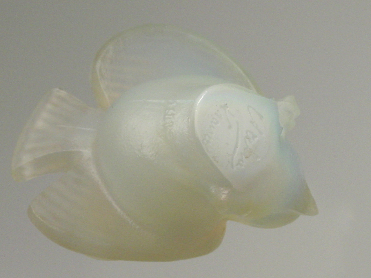 Signature on bottom. Embossed toward bottom.