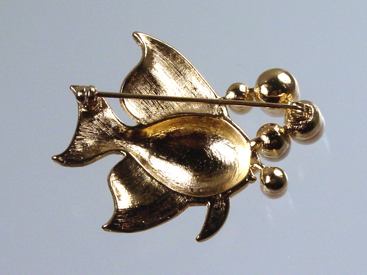 Back of Fish