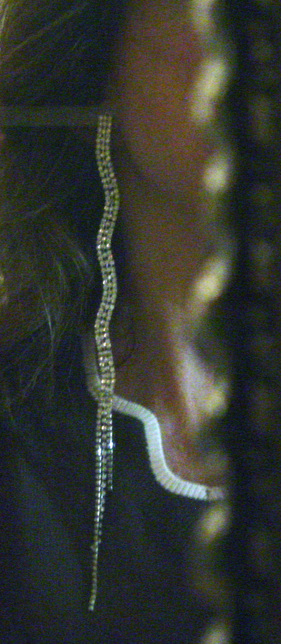 Wavy Earrings Reflected in Art Deco Scalloped Mirror