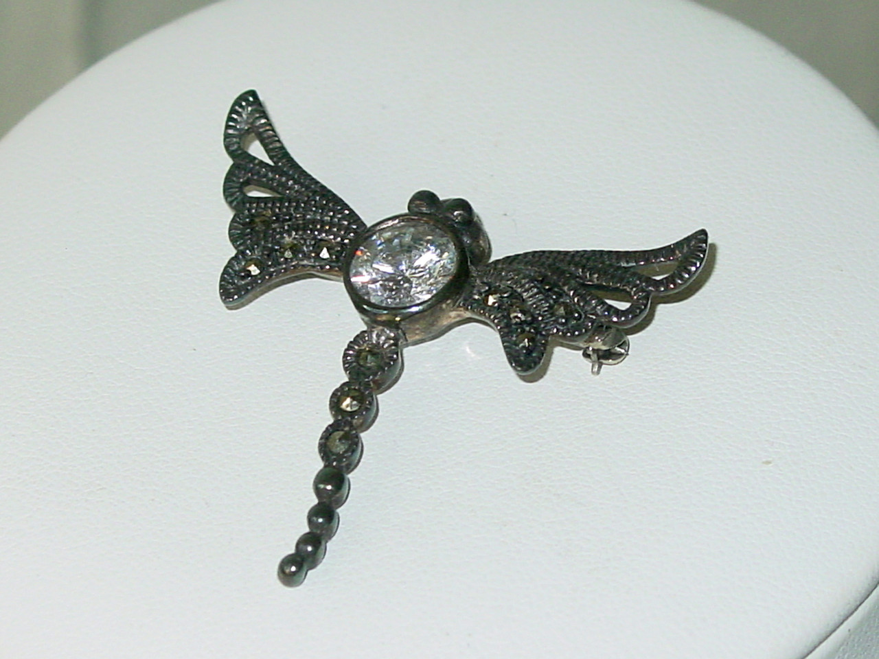 Close Up Sparkle Dragonfly