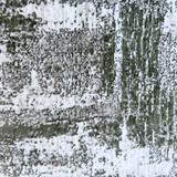 Dew rug-Beige Green-Medium Pile-Multiple Sizes Dew rug-Beige Green-Medium Pile-Multiple Sizes