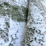 Dew rug-Beige Green-Medium Pile-Multiple Sizes Dew rug-Beige Green-Medium Pile-Multiple Sizes