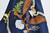 Army Security Force Assistance Battalion Colors