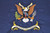 Army Security Force Assistance Battalion Colors