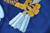 Army Security Force Assistance Battalion Colors