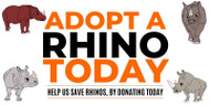 INTERNATIONAL RHINO FOUNDATION: Adopt A Rhino Today!