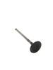 Exhaust Valve - Toyota 2.7L 3RZ (1995-2004) OEM Exhaust Valve 13715-75050