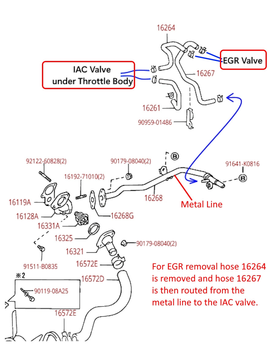 This shows the coolant hoses to the EGR. When removing the EGR the coolant hose from the IAC to the EGR is removed. The coolant hose from the metal line to the EGR is re-routed from the metal line to the IAC valve. 