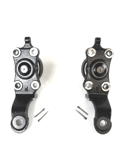 Ball Joint- Toyota Sequoia & Tundra OEM Lower Ball Joint Set (2004-2007) 04006-62134