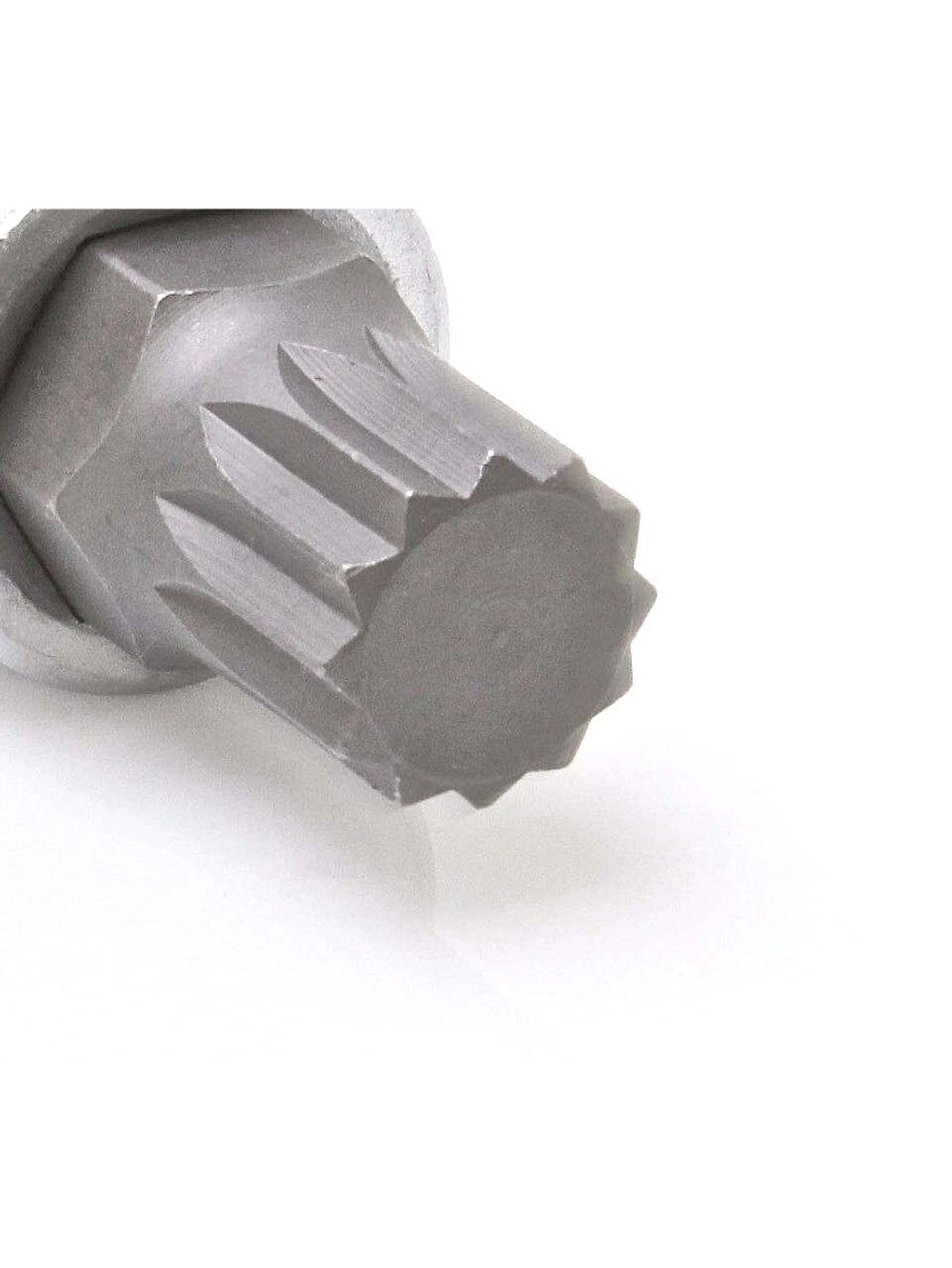 Specialty Socket 12 Point M12 Torx Head Bolt Socket 30036