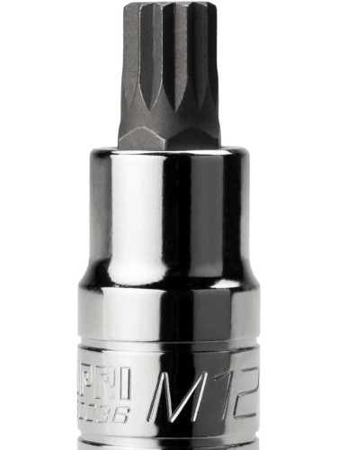 Specialty Socket- 12 Point M12 Torx Head Bolt Socket 30036