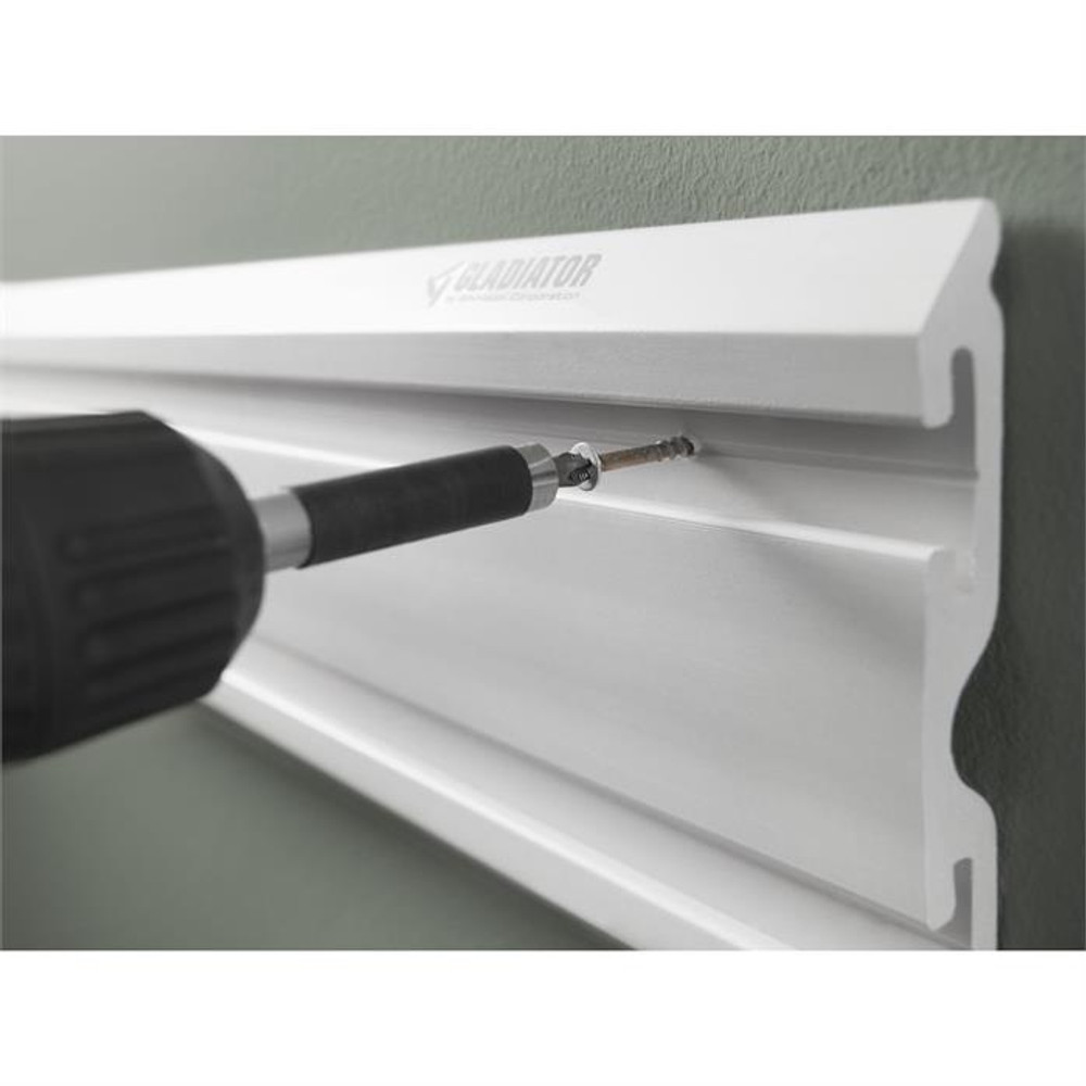 Gladiator 32-Pack Color Matched Screws - Light Gray