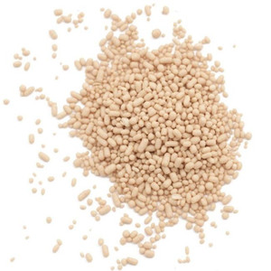 GIUSTO'S ACTIVE DRY YEAST ( 1X5LB )