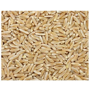 GRAINS KAMUT BERRIES ( 1X25LB )