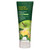 DESERT ESSENCE APPLE & GINGER THICKENING SHAMPOO ( 1X8 OZ )