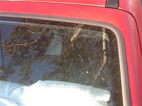 Corrado - Rear Hatch Windshield Seal