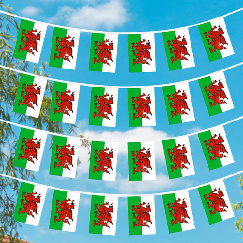 Welsh Flag Bunting (Small Rectangles) - 10m