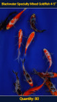 Mixed Goldfish 4-5" 80 qty