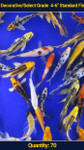 Decorative/Select Grade 4-6" Standard Fin Koi 70 qty