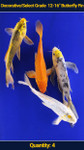 Decorative/Select Grade 12-16" Butterfly Fin Koi 4 qty