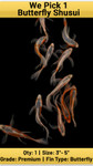 We Pick 1 Butterfly Shusui [WP10-T56-ShusuiBTF]