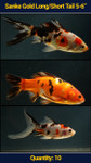Sanke Gold 5-6" Long/Short Tail 10 qty