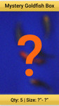 Surprise Mystery Box of Goldfish Qty 5