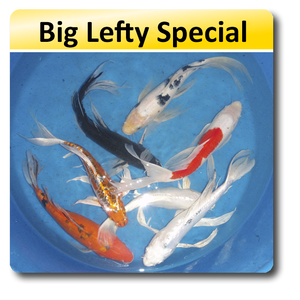 Big Lefty Special Big Lefty Special