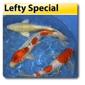 Lefty Special Lefty Special