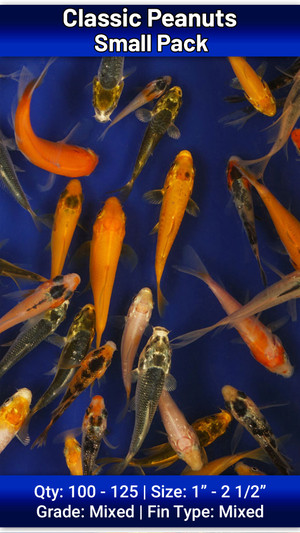 Small Pack of Peanuts FREE SHIPPING 100-125 fish Small Pack of Peanuts FREE SHIPPING 100-125 fish