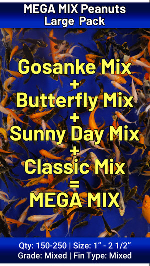 Large Pack MEGA MIX Peanuts FREE SHIPPING 150-250 Fish