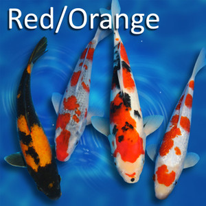 Pick Your Mix Red/Orange