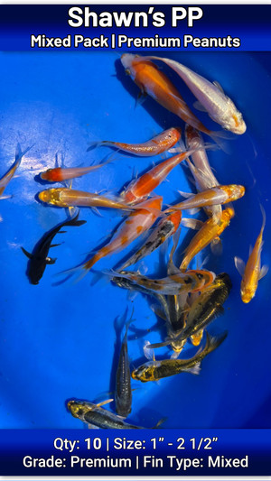 Shawn's Premium Peanut Mixed Pack FREE SHIPPING 10 fish Shawn's Premium Peanut Mixed Pack FREE SHIPPING 10 fish