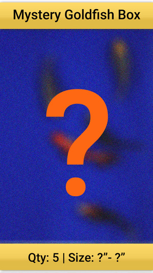 Surprise Mystery Box of Goldfish Qty 5