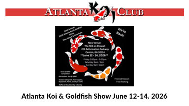Atlanta Koi & Goldfish Show 