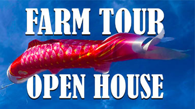 Open House Farm Visit February 2-3 2024 Open House Farm Visit February 2-3 2024