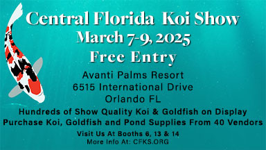 2025 Central Florida Koi Show 2025 Central Florida Koi Show