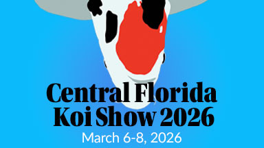 2026 Central Florida Koi Show