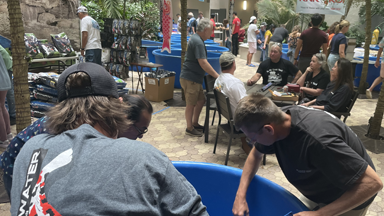 Wonderful Time at the Central Florida Koi & Goldfish Show Wonderful Time at the Central Florida Koi & Goldfish Show