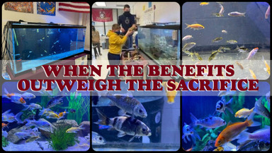 When The Benefits Outweigh The Sacrifice When The Benefits Outweigh The Sacrifice