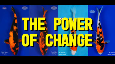 The Power Of Change